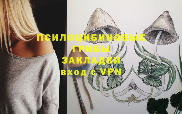 спайс Магадан