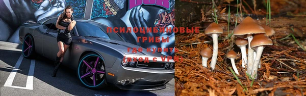 героин Рославль
