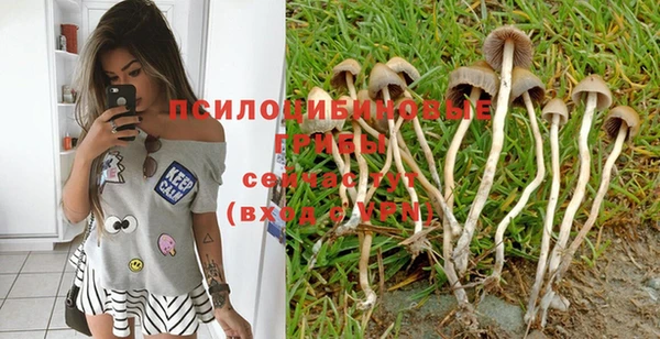 спайс Магадан