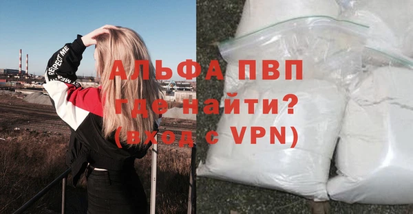 гашик Магас