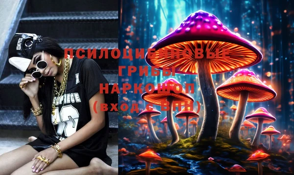 гашик Магас